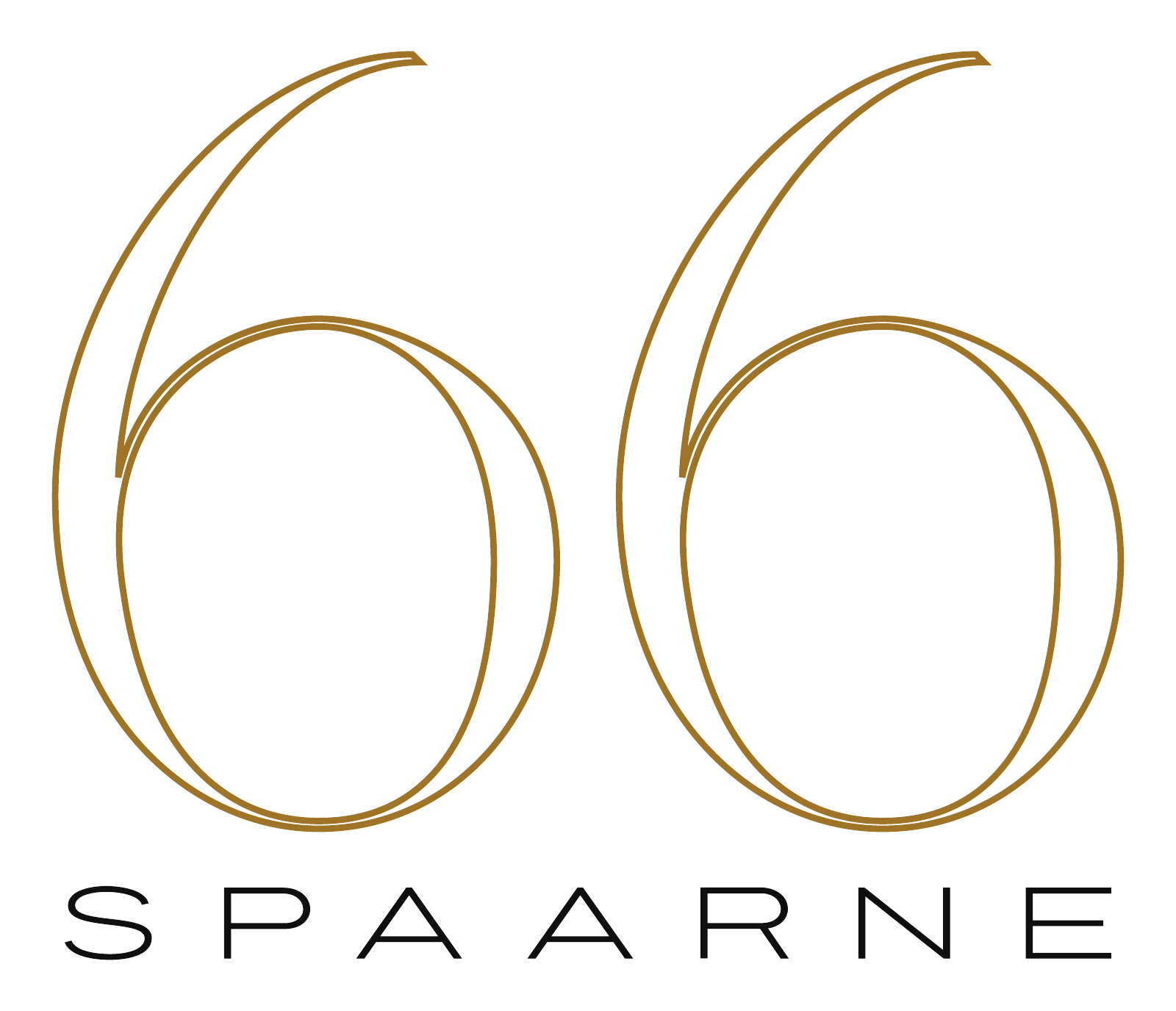 Spaarne 66
